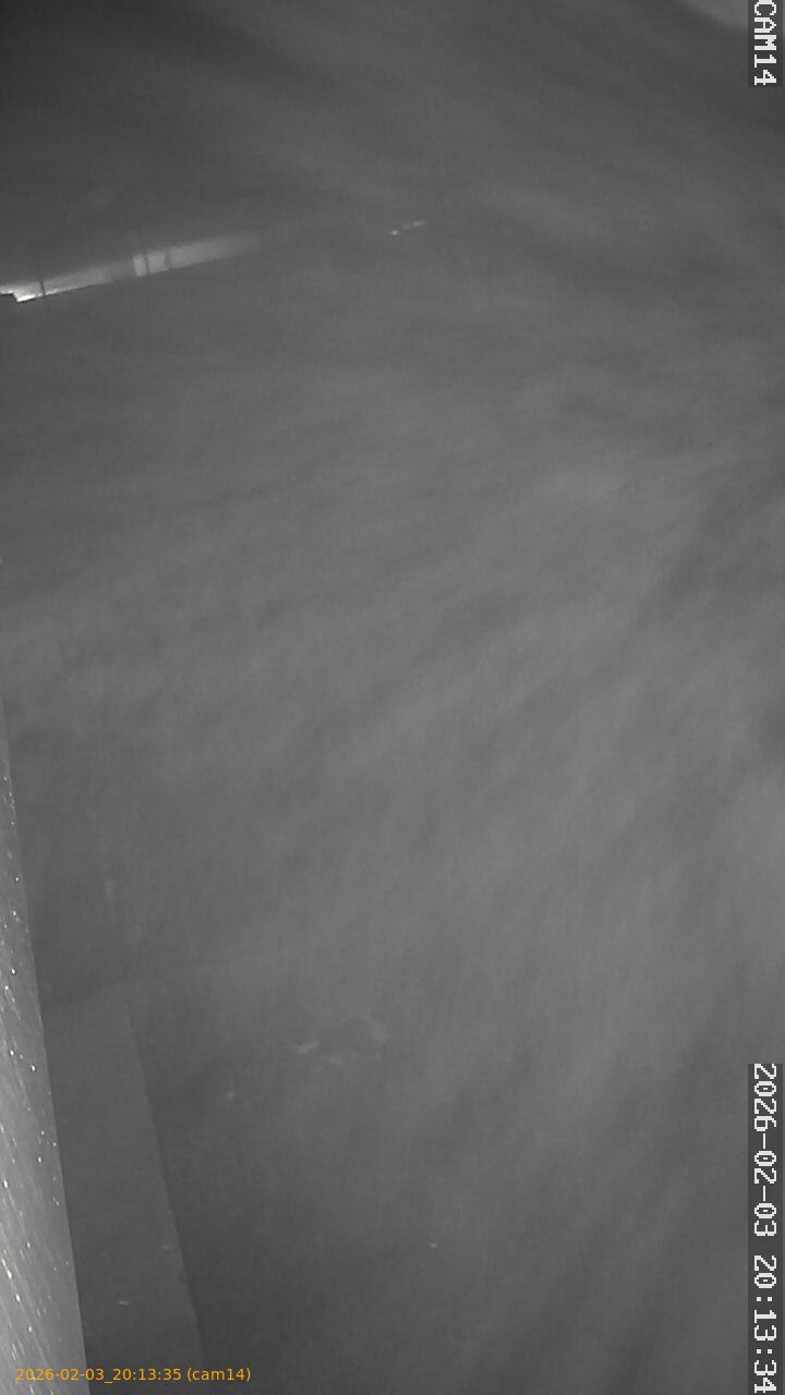 thumbnail_20260203201335