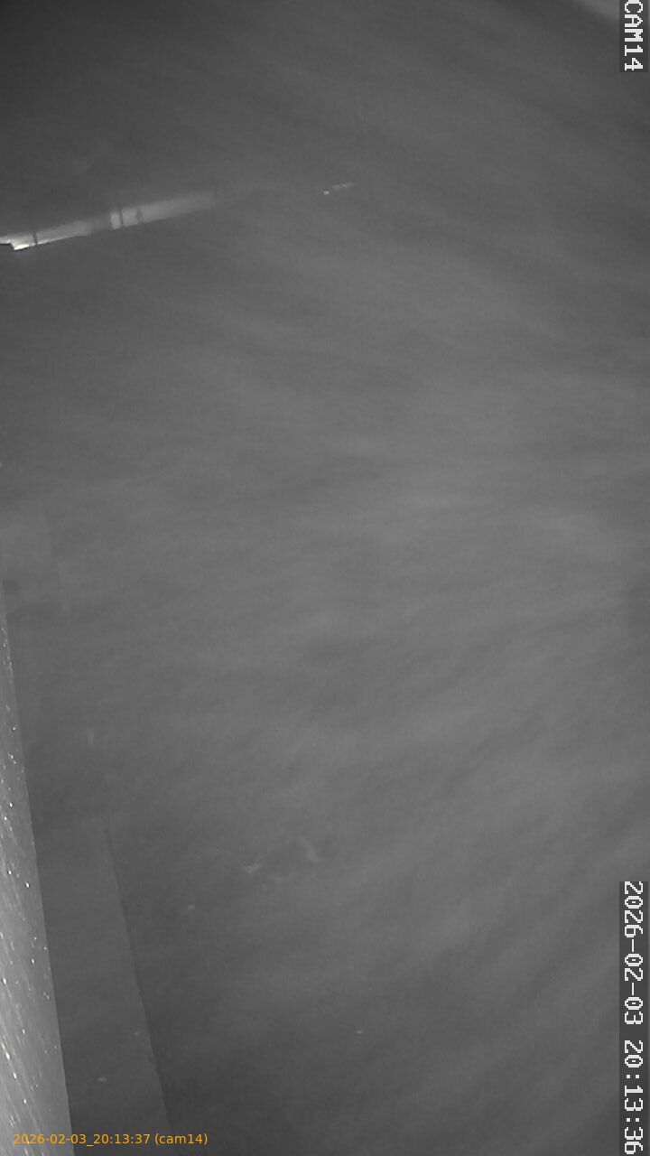 thumbnail_20260203201337