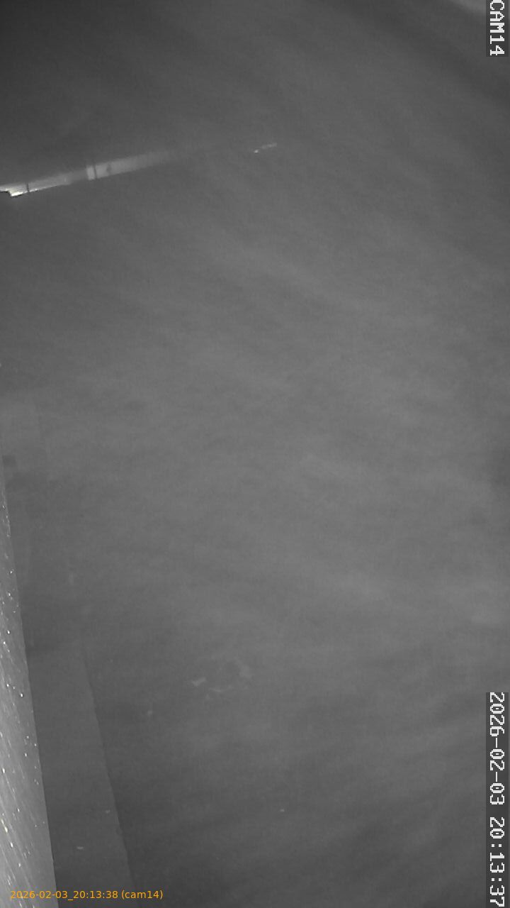 thumbnail_20260203201338