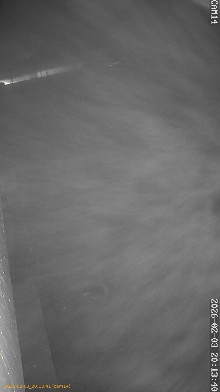 thumbnail_20260203201341