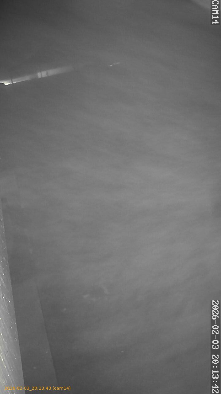 thumbnail_20260203201343