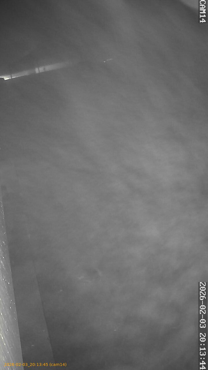 thumbnail_20260203201345