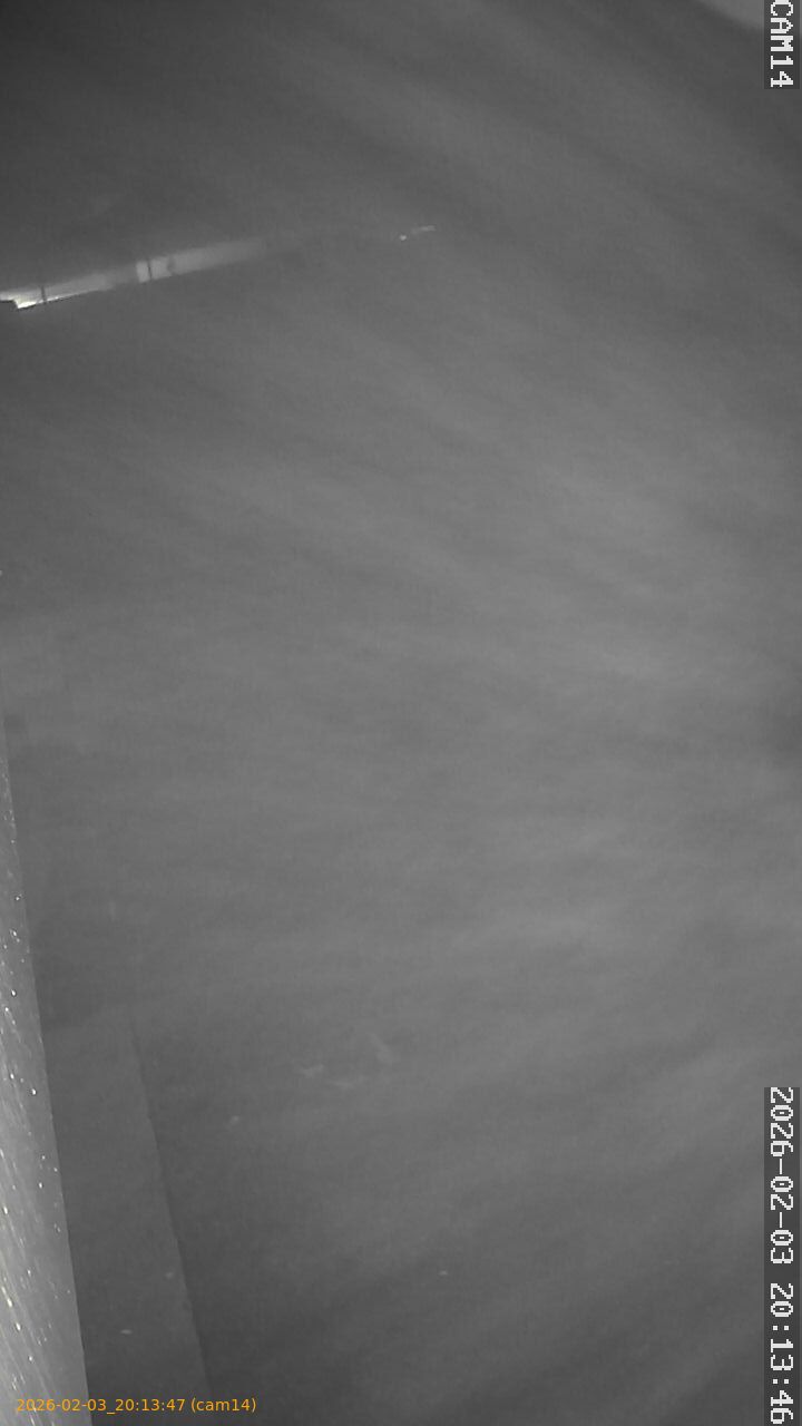 thumbnail_20260203201347