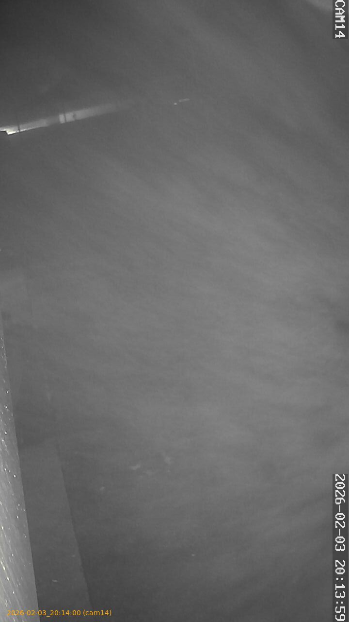 thumbnail_20260203201400