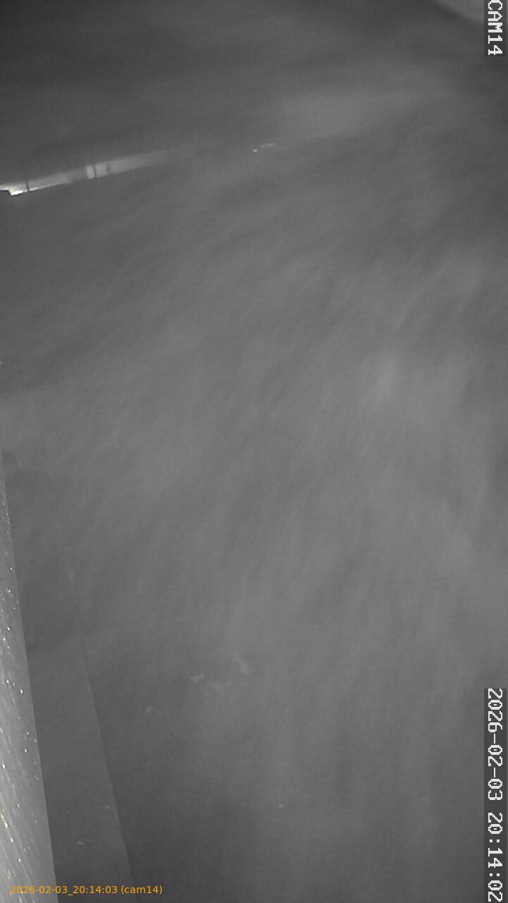 thumbnail_20260203201403