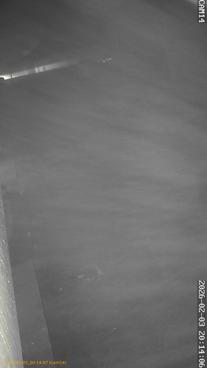 thumbnail_20260203201407