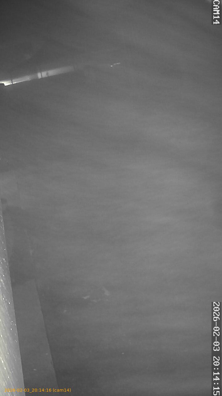 thumbnail_20260203201416