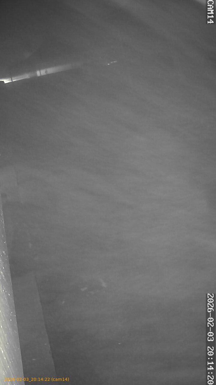 thumbnail_20260203201421