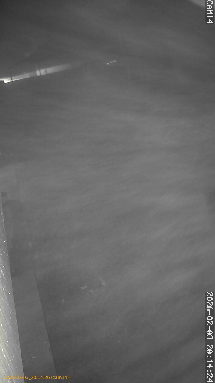 thumbnail_20260203201426