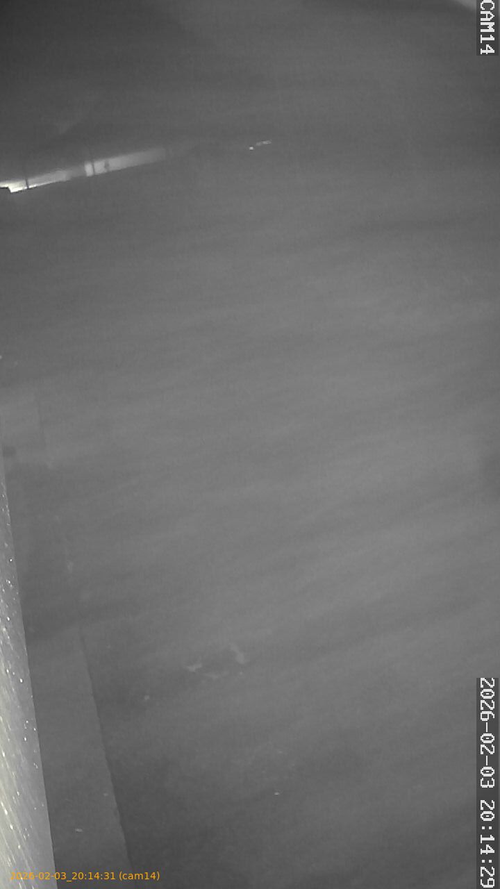 thumbnail_20260203201431