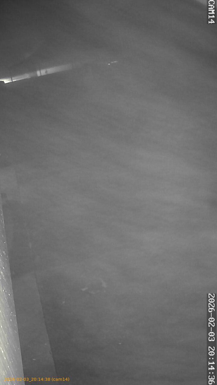 thumbnail_20260203201438