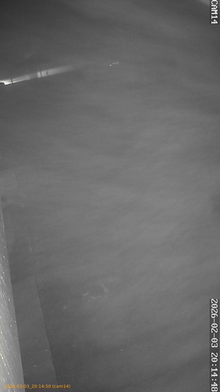 thumbnail_20260203201450