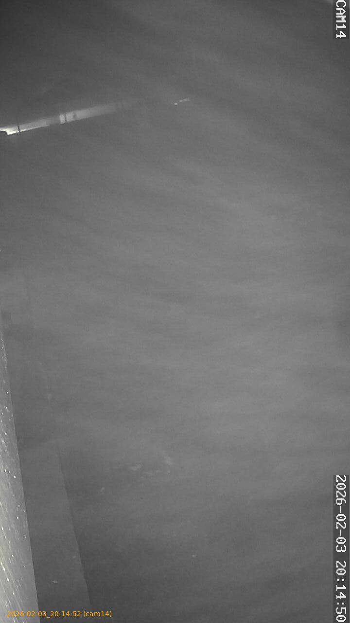 thumbnail_20260203201452