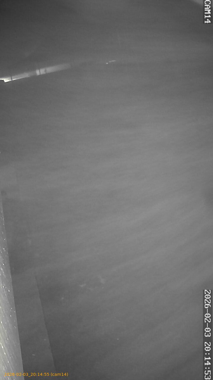 thumbnail_20260203201455