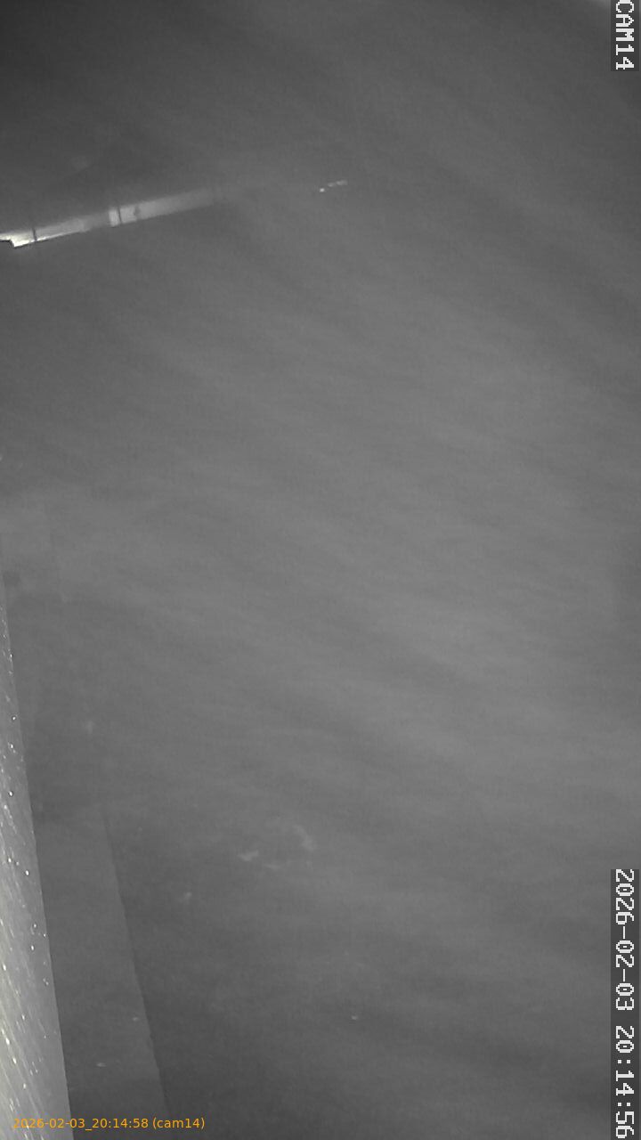 thumbnail_20260203201458