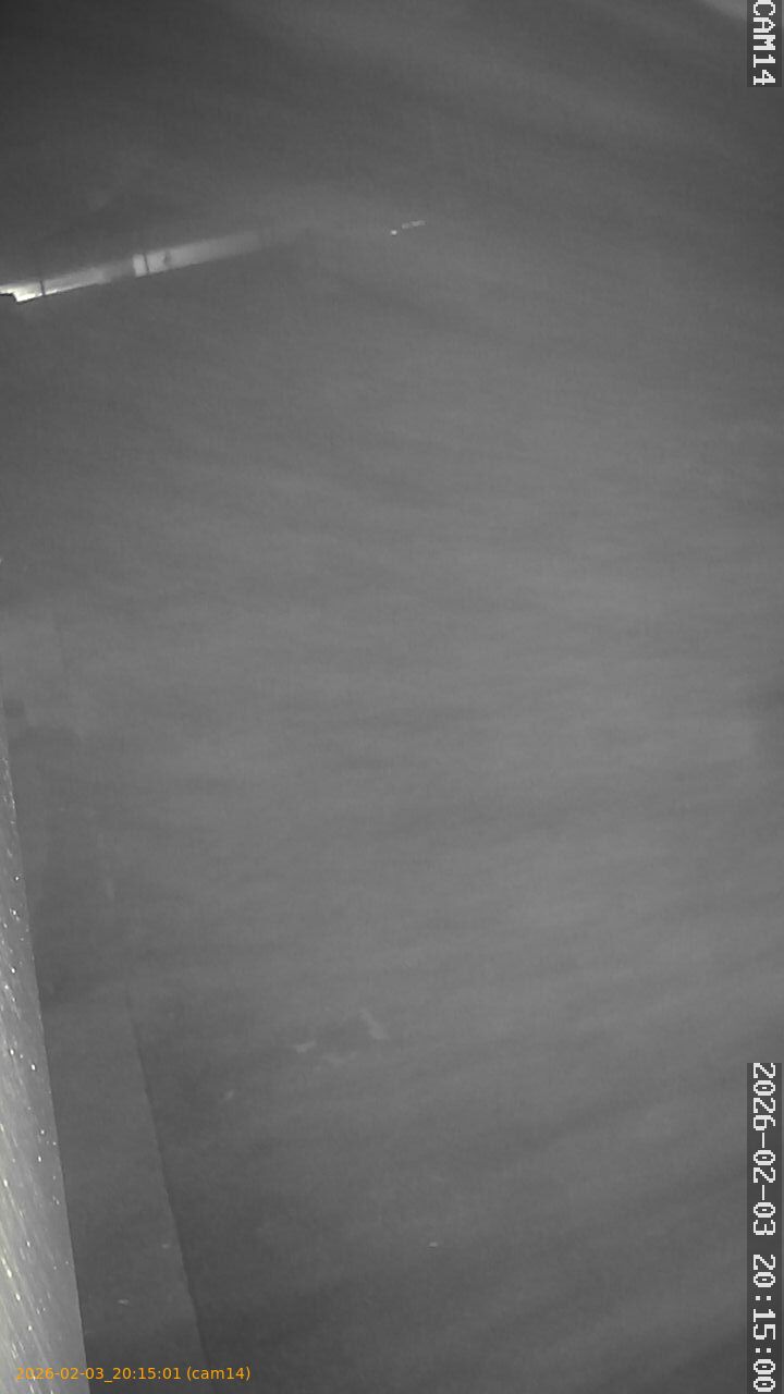 thumbnail_20260203201501