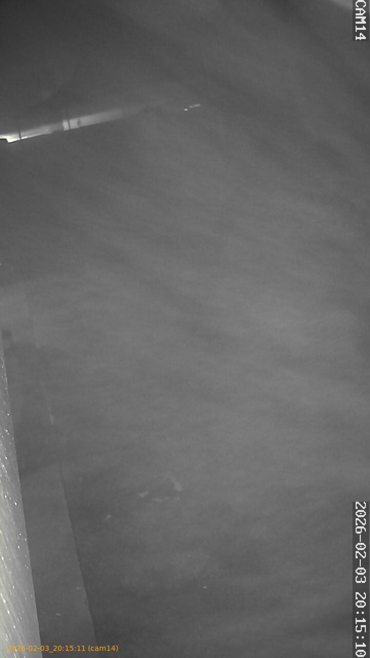 thumbnail_20260203201511