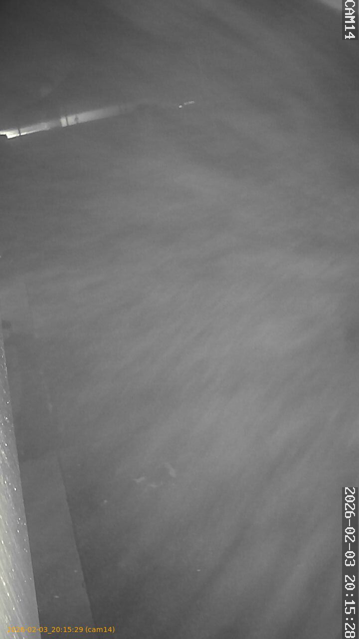 thumbnail_20260203201529