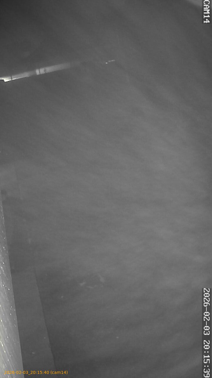 thumbnail_20260203201540