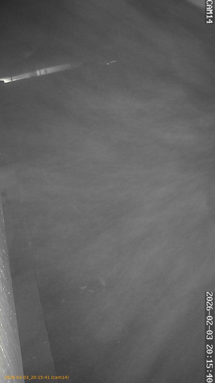 thumbnail_20260203201541