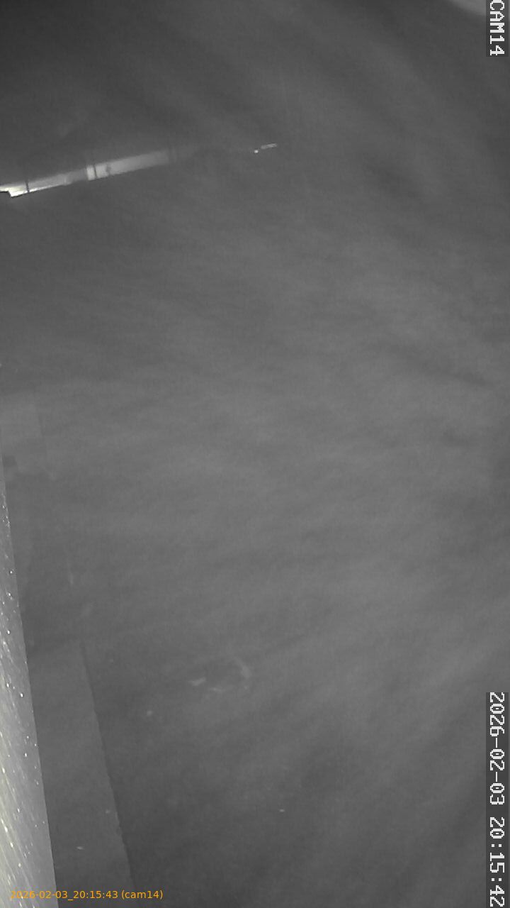 thumbnail_20260203201543