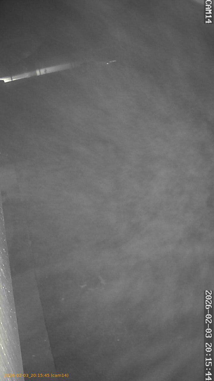 thumbnail_20260203201545