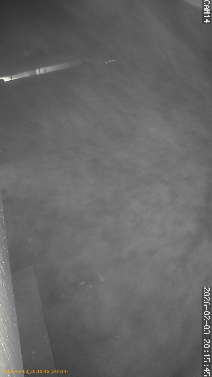 thumbnail_20260203201546