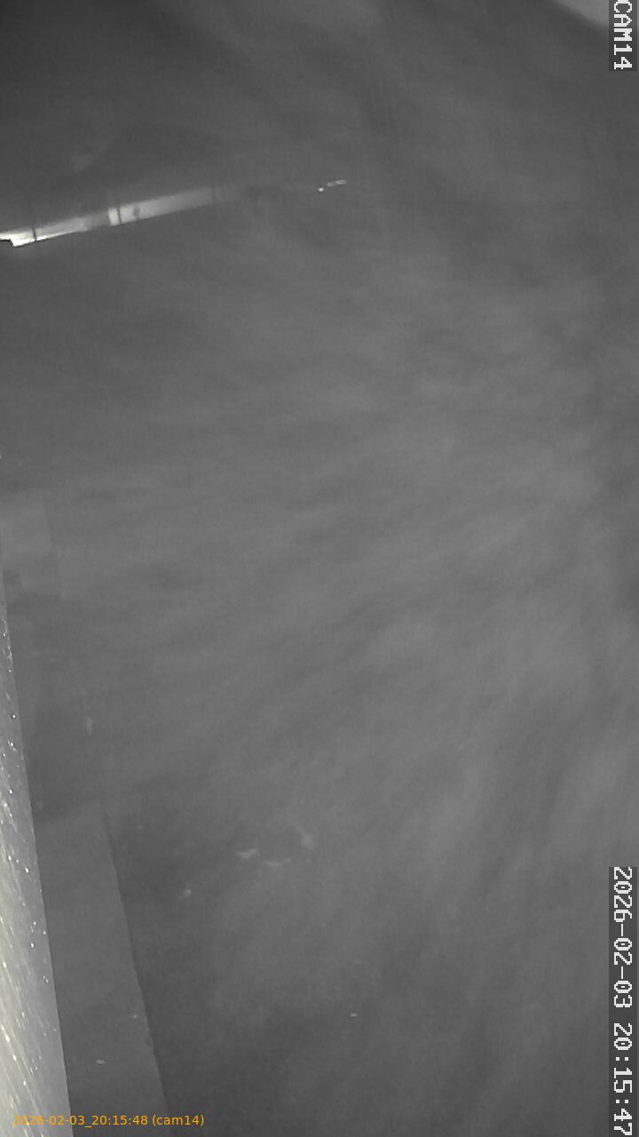 thumbnail_20260203201548