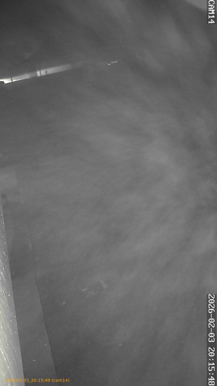 thumbnail_20260203201549