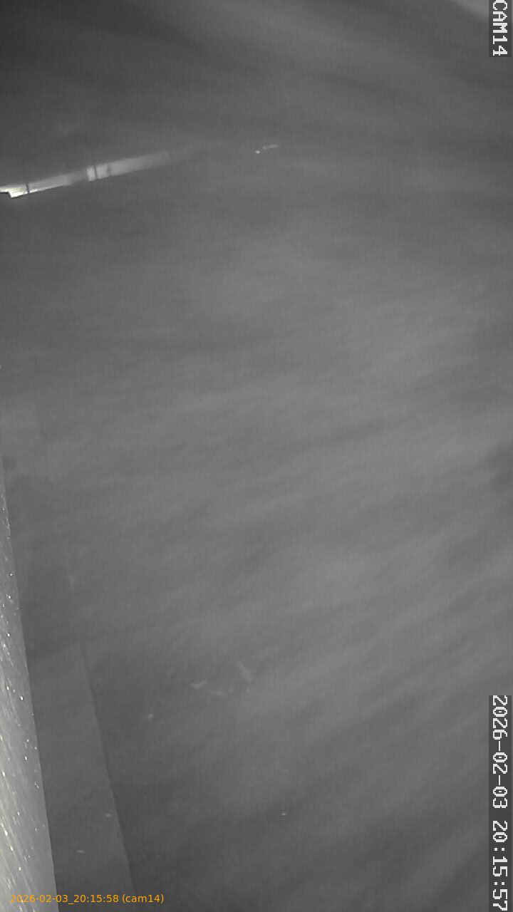 thumbnail_20260203201558