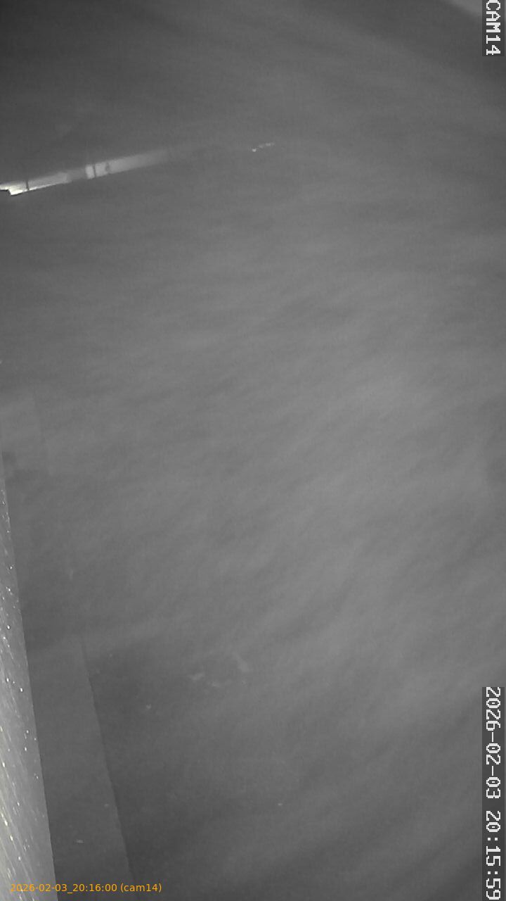 thumbnail_20260203201600