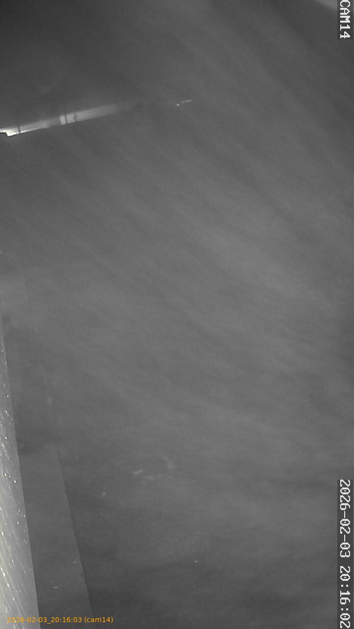 thumbnail_20260203201603