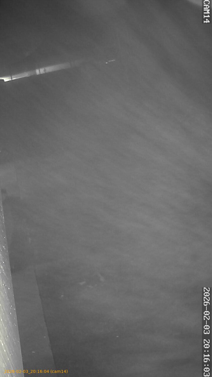 thumbnail_20260203201604