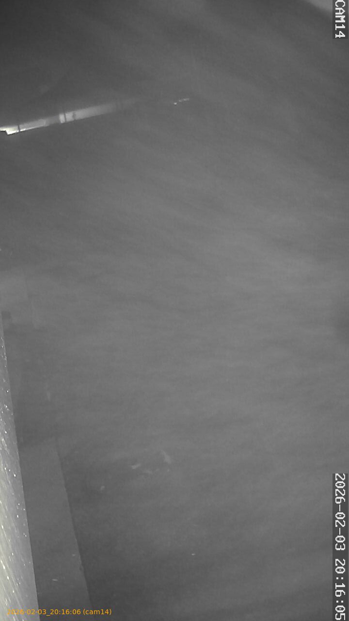 thumbnail_20260203201606