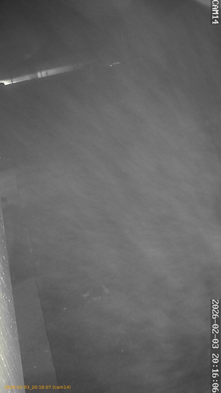 thumbnail_20260203201607