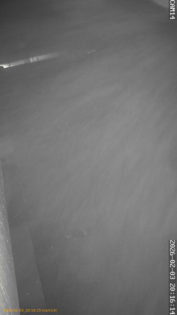 thumbnail_20260203201615