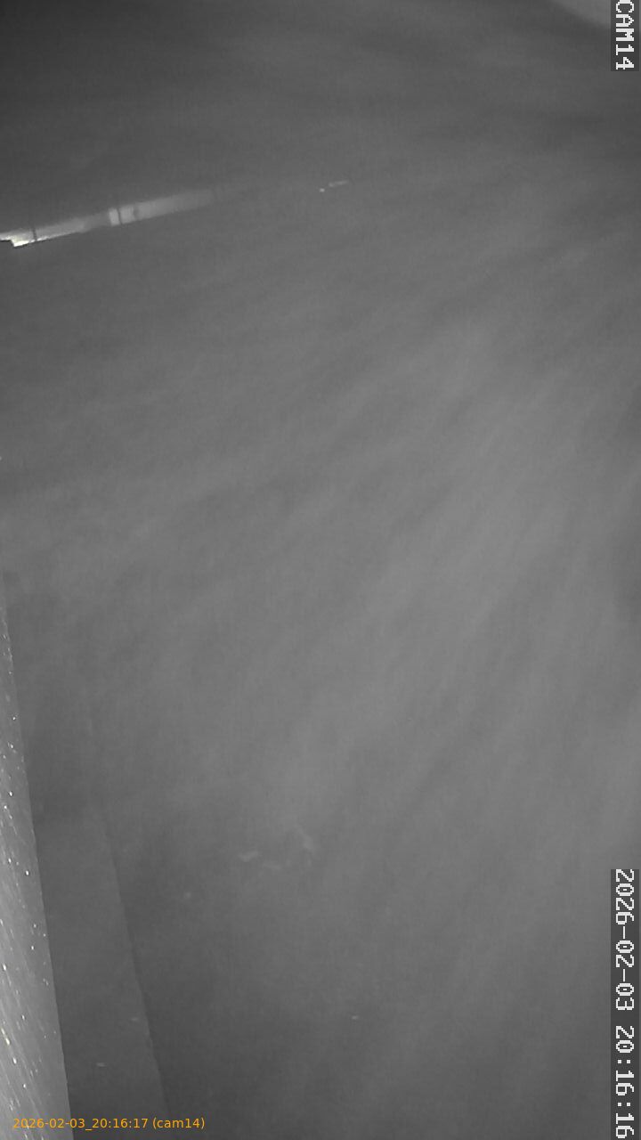 thumbnail_20260203201617