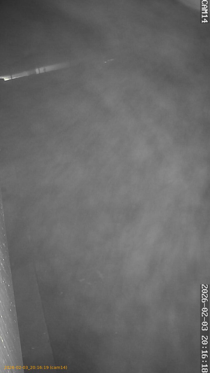 thumbnail_20260203201619