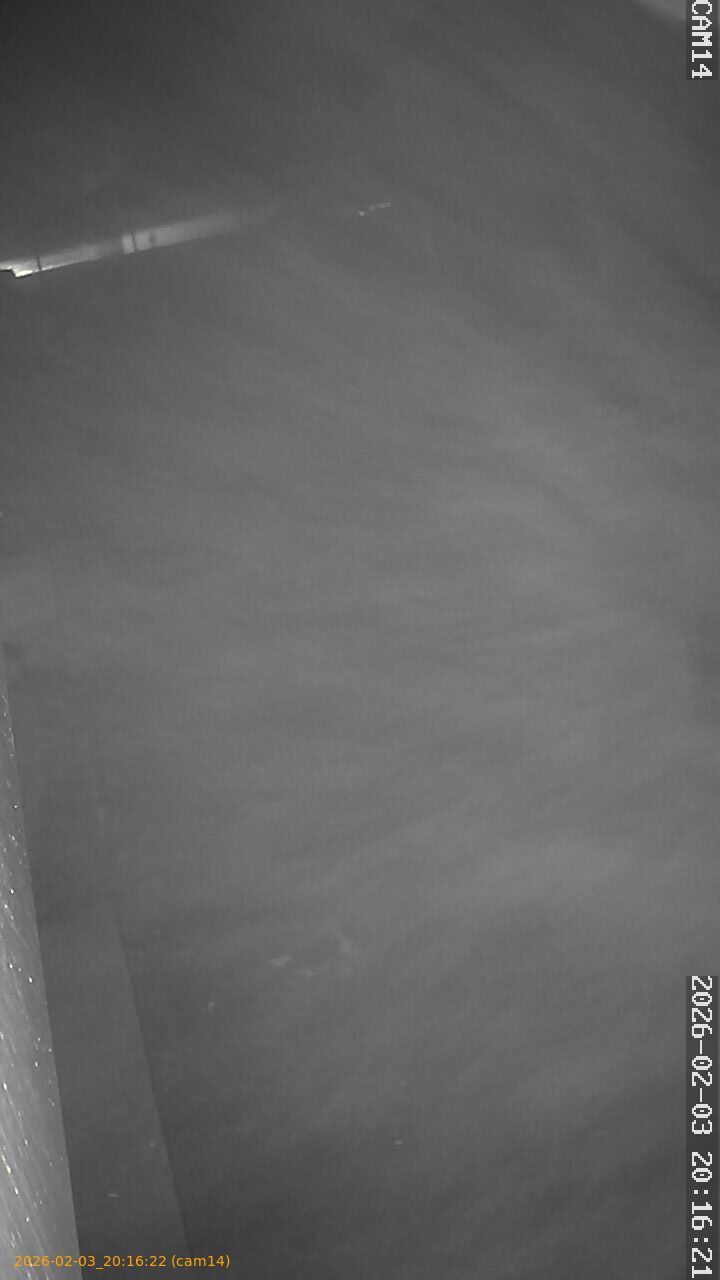 thumbnail_20260203201622