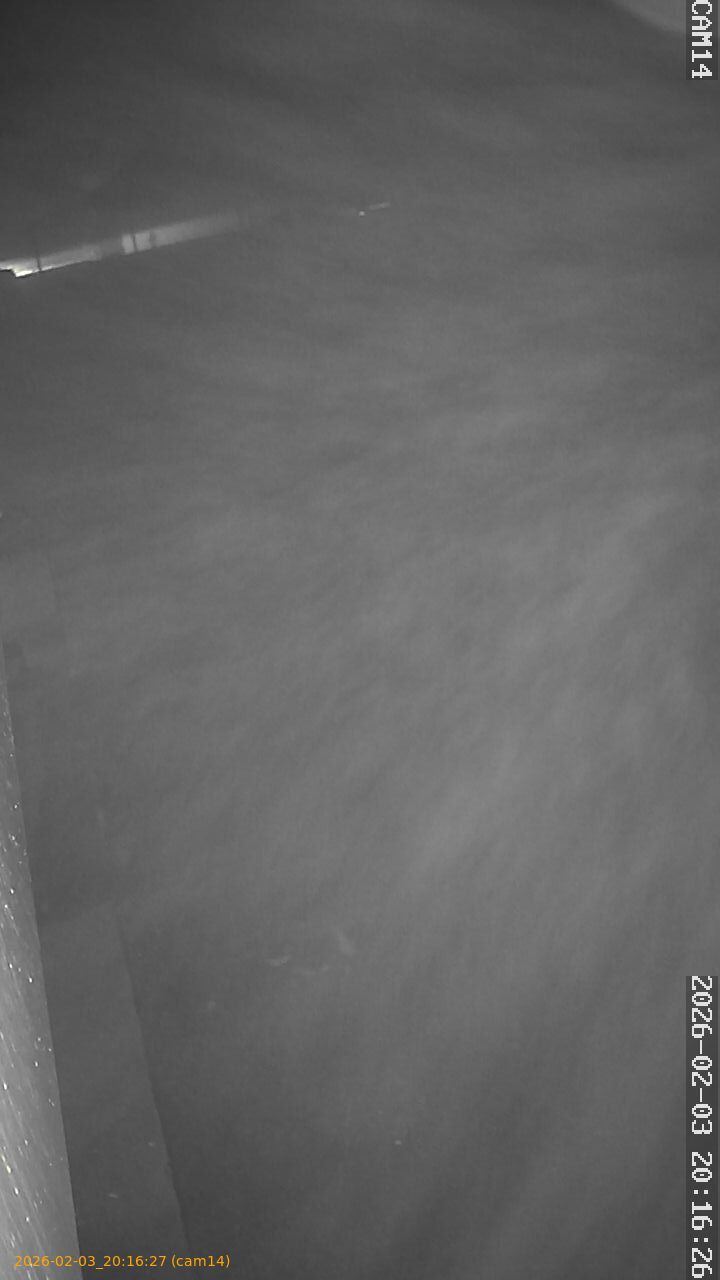 thumbnail_20260203201627