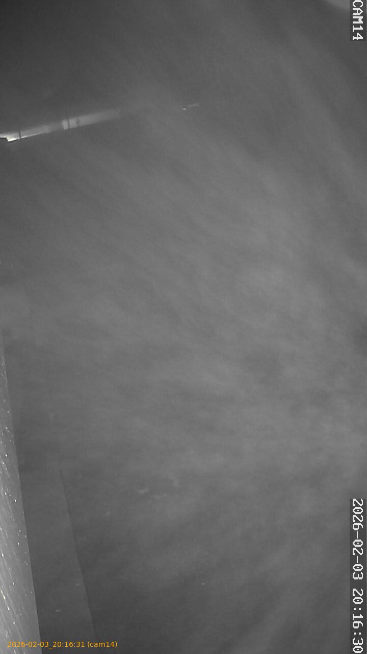 thumbnail_20260203201631