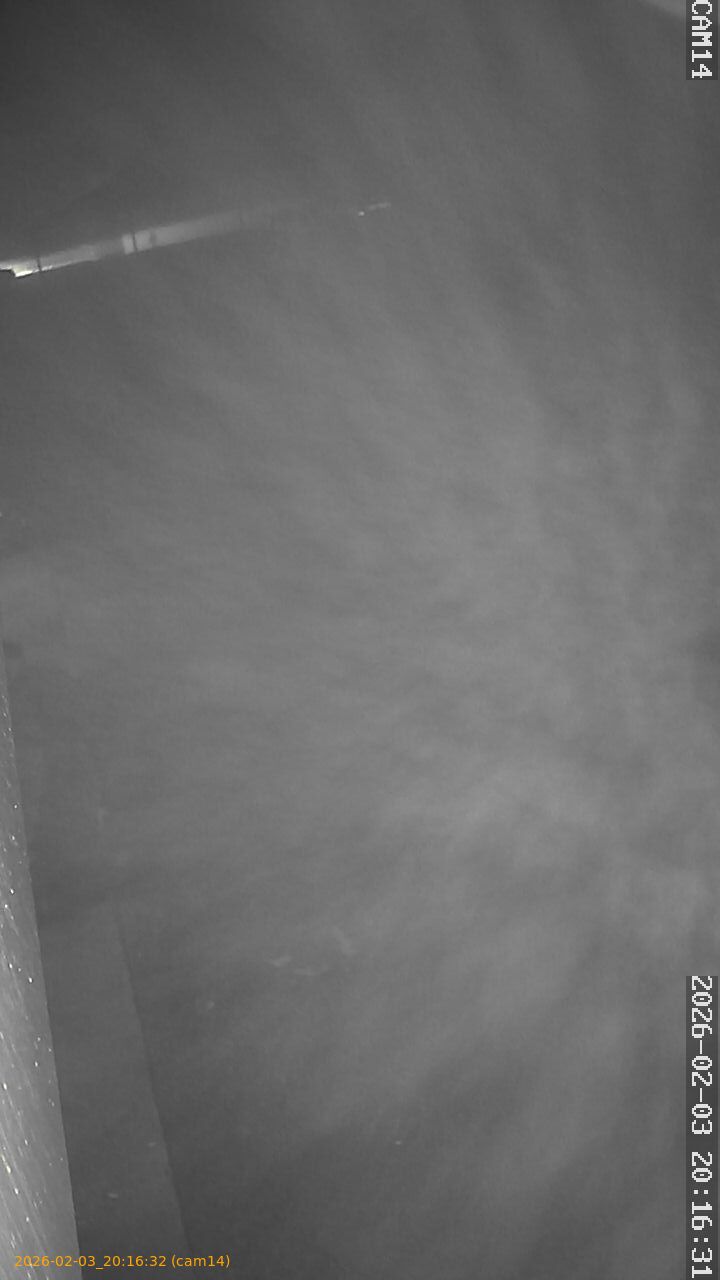 thumbnail_20260203201632