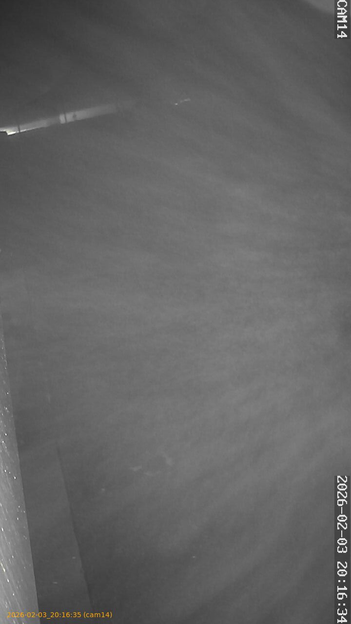 thumbnail_20260203201635