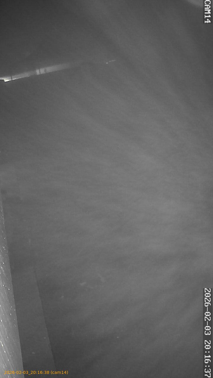 thumbnail_20260203201638