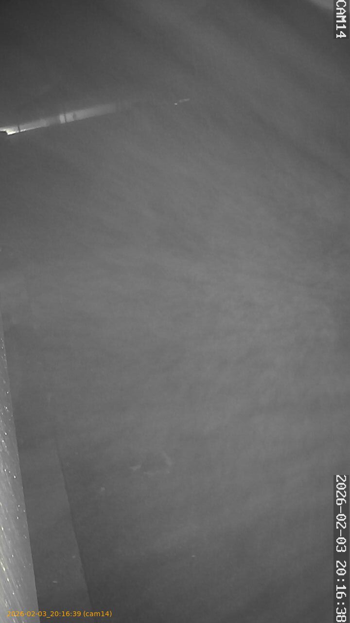 thumbnail_20260203201639