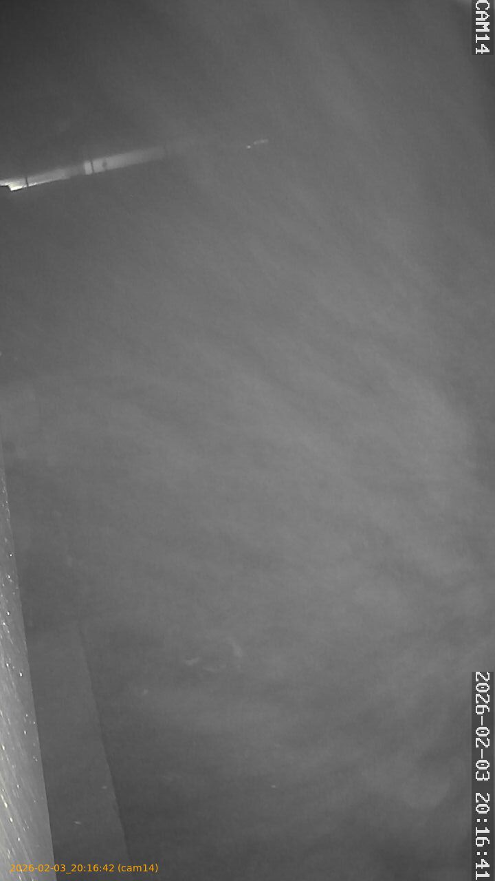 thumbnail_20260203201642