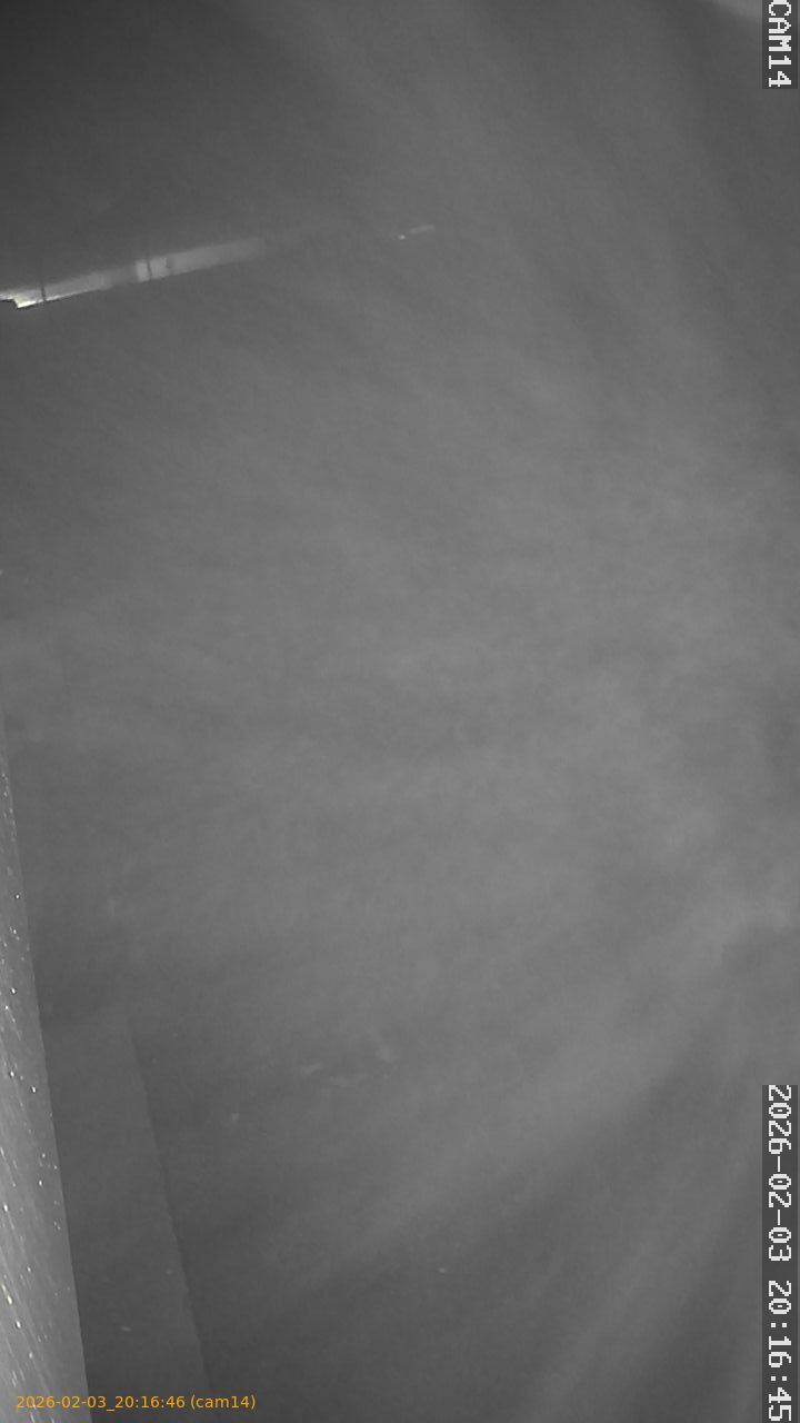 thumbnail_20260203201646