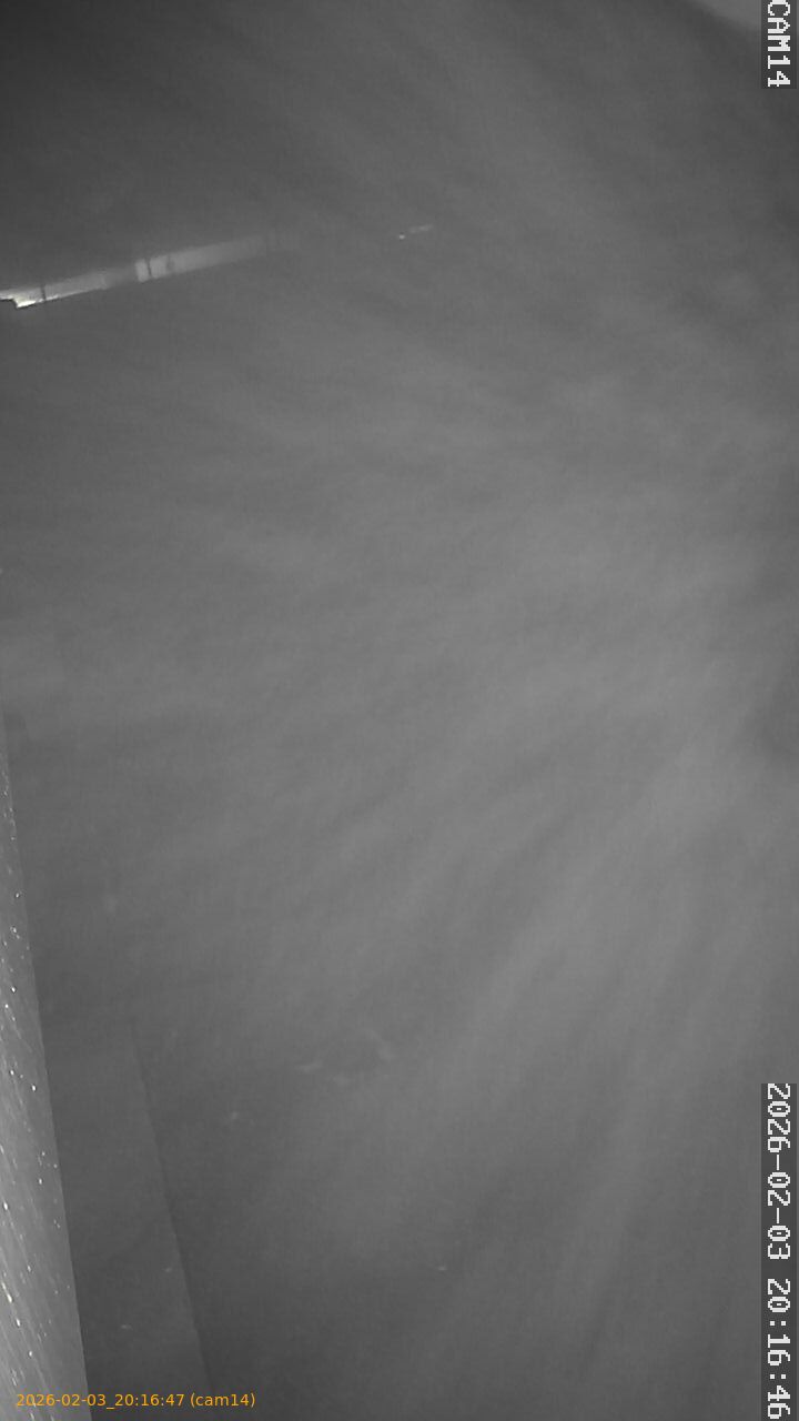 thumbnail_20260203201647