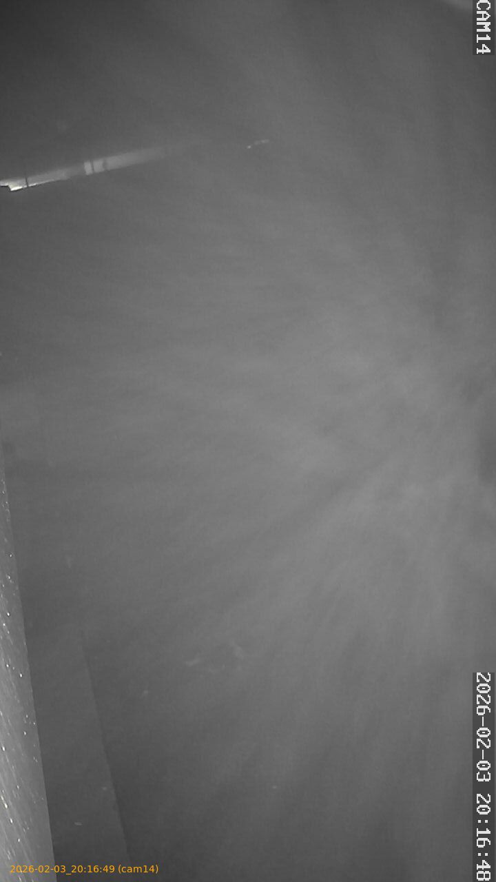 thumbnail_20260203201649