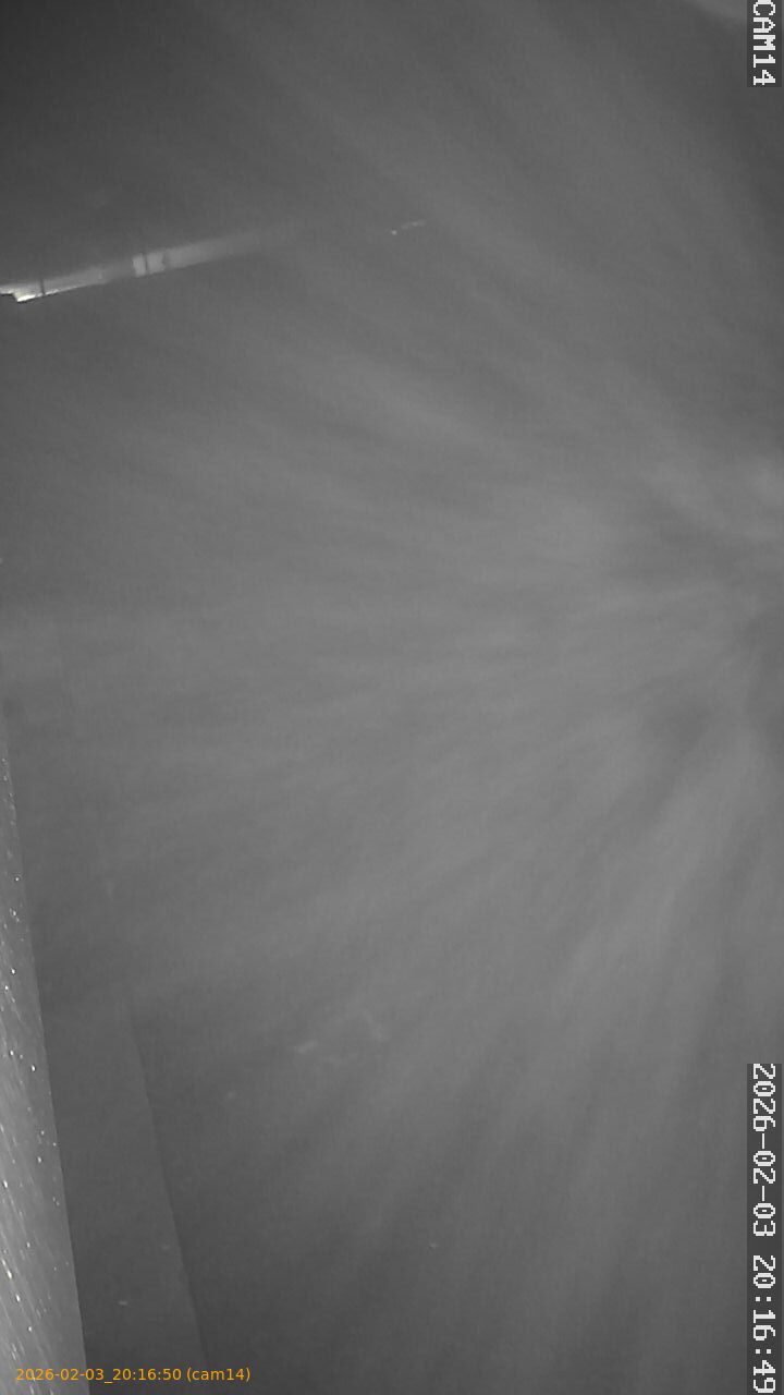 thumbnail_20260203201650